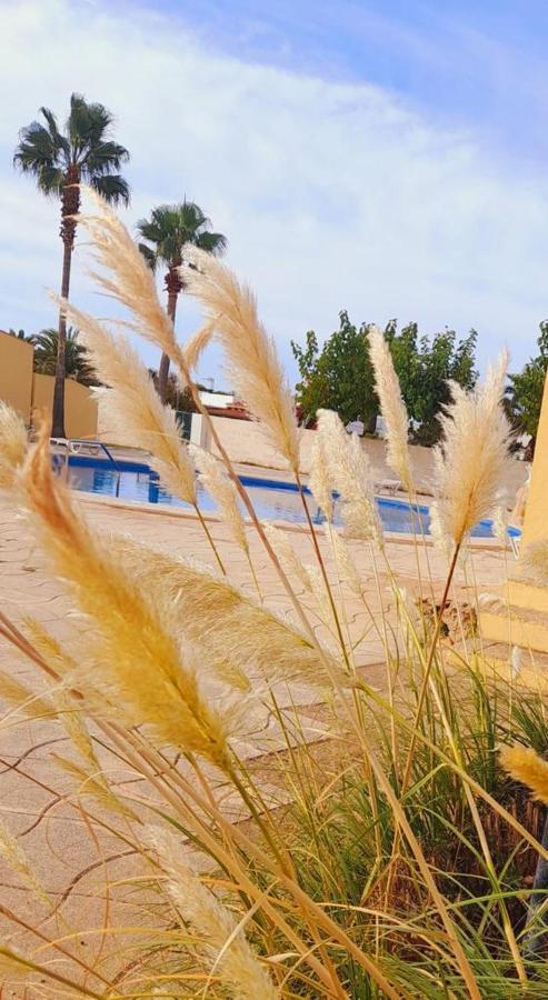 Apartamento Apartamento con Piscina en Ciudadela, Cala en Blanes Cala'N Blanes  Exterior foto